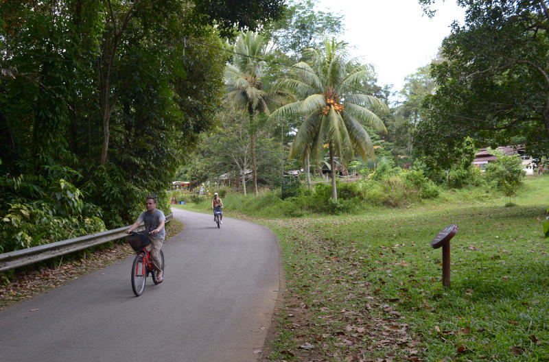 Pulau Ubin